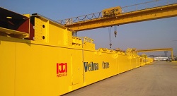 Low Clearance Overhead Crane - Weihua Cranes